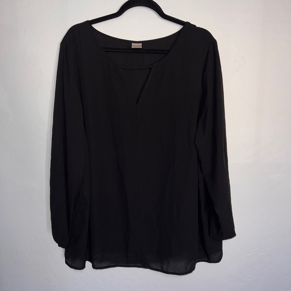 Tarra and Sky women’s sheer black, long sleeve V-neck blouse 1X